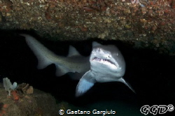 cornered by Gaetano Gargiulo 